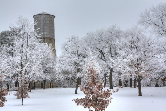 Frosty park